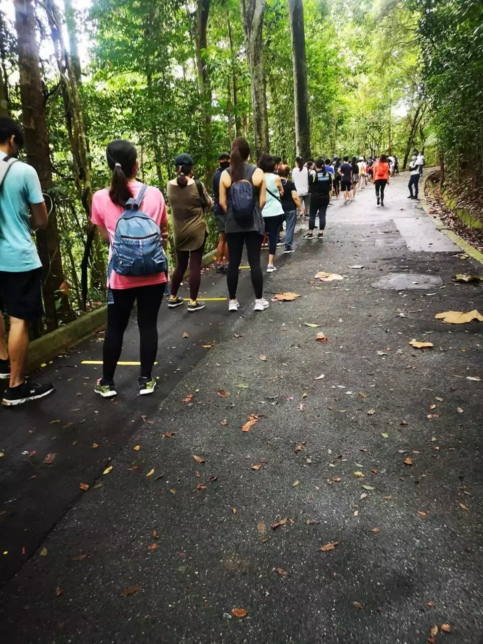 新加坡人深夜排队，翻新一年多的网红景点又开了