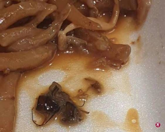 吃老鼠粉发觉怪味 吐出发现蟑螂头脚