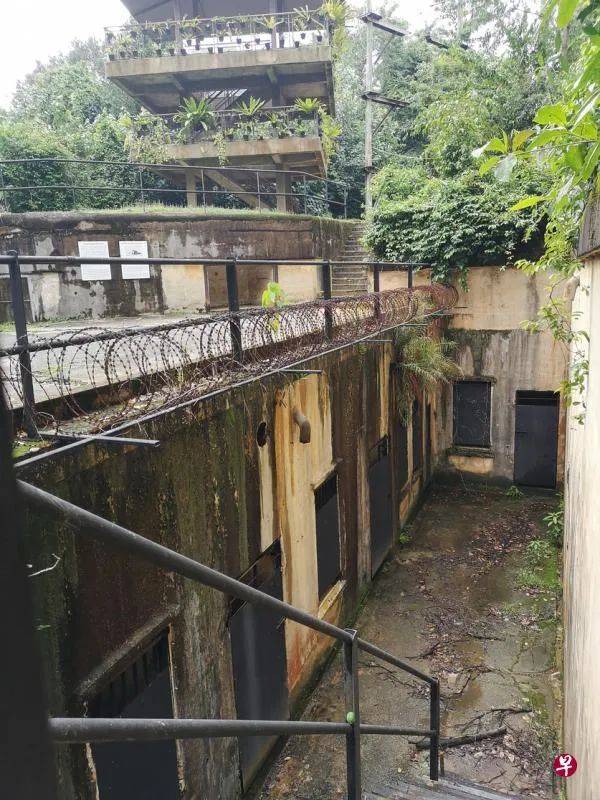 到圣淘沙趴趴走,来个轻松愉快的徒步慢游