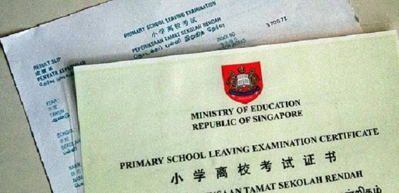 新加坡小升初比例非100%，剩下的人去哪读书