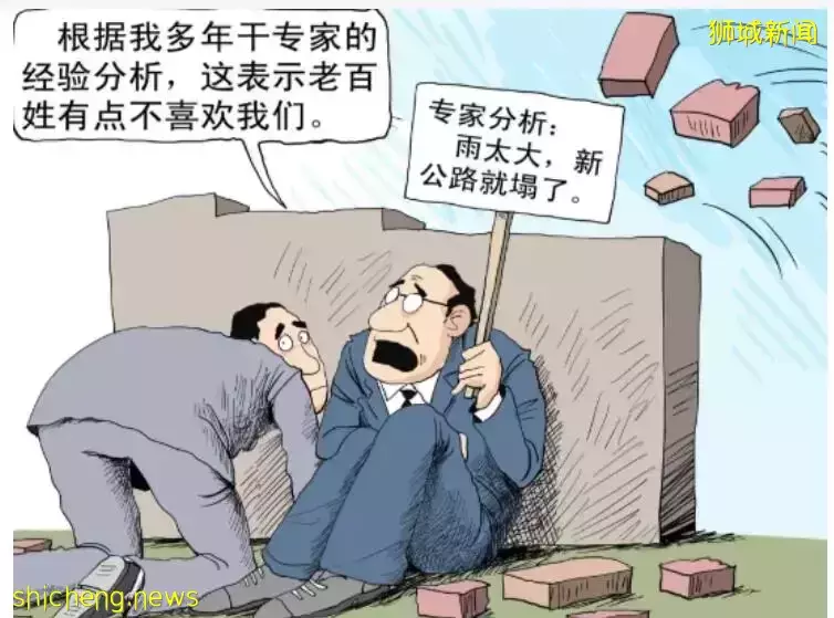 新加坡网约车涨价引专家长篇大论，网友：神似，没钱就把多余的房子出租