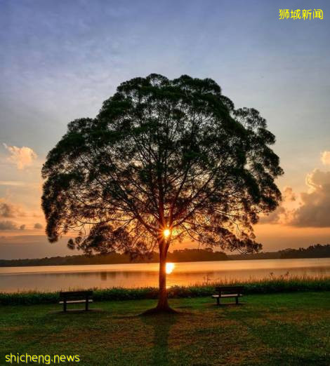 昨天，新加坡神仙晚霞刷屏朋友圈！這些地點觀賞效果炸裂