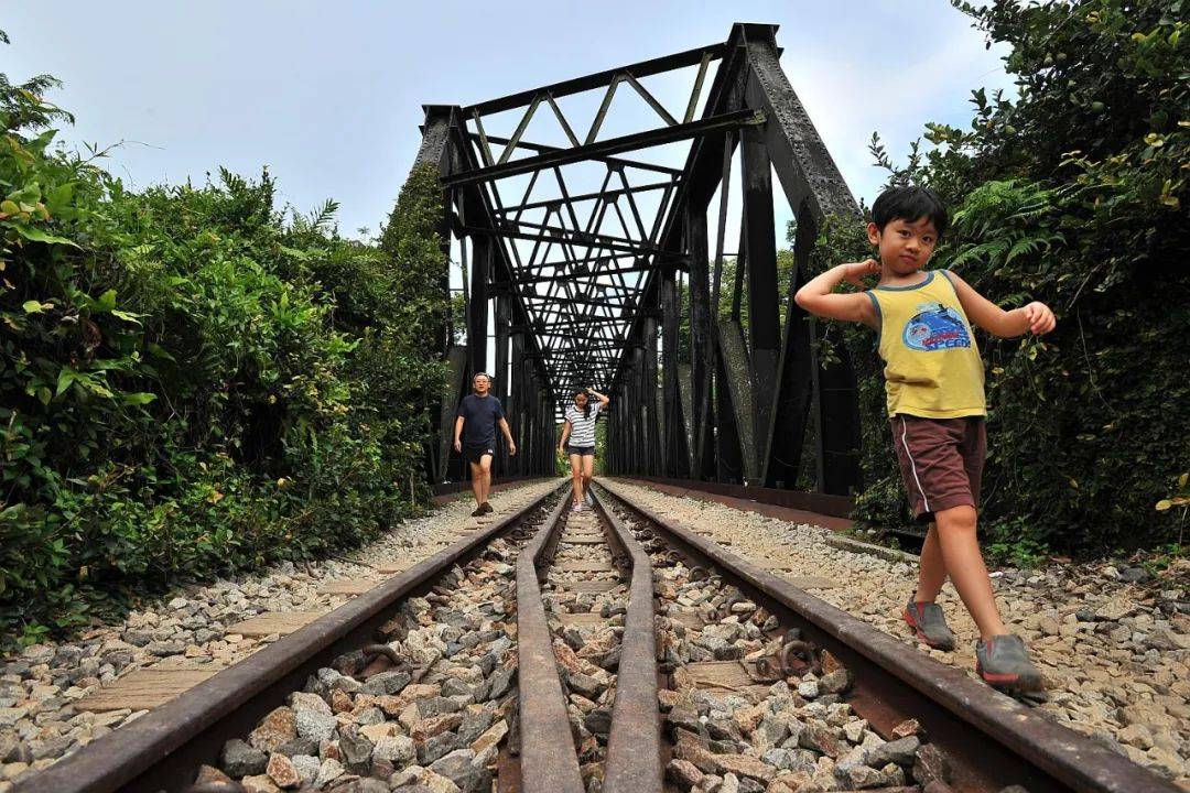 人少!景美!这条曾连接新加坡和马来西亚的“最美”铁路桥重新开放啦