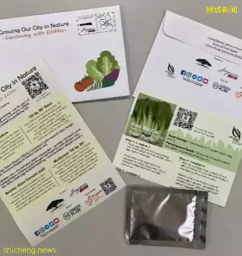 种地要从娃娃抓起！今年新加坡三年级学生将获得种植套件和两包种子