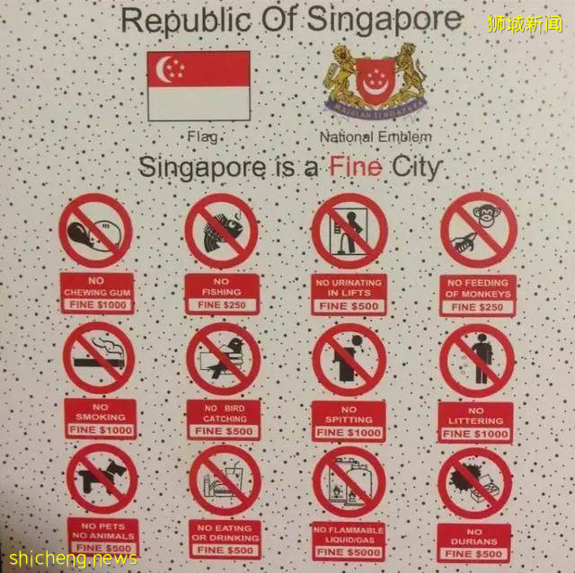 去新加坡旅遊，這些知識你不得不懂