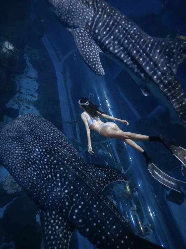 浪起來,新加坡水上運動大盤點