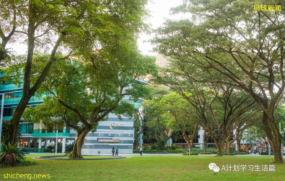 新加坡各类学校学费汇总(AY2020/21)