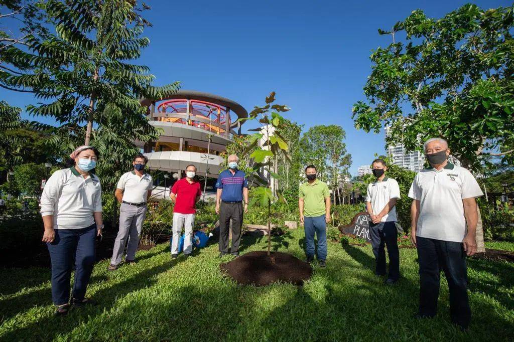 東海岸Big Splash水上樂園關閉四年,搖身一變成爲全新海岸樂園Coastal PlayGrove