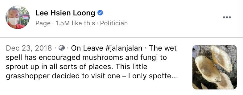 热议!李显龙开始休假!网友:龙哥会去哪里