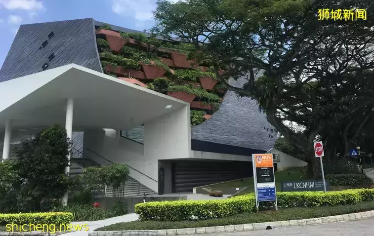 高考结束后，如何选择新加坡大学，走出人生的“本手、妙手、俗手”