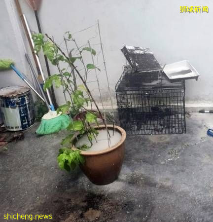 邻居洗外墙污水溅入屋 妇女4度报警