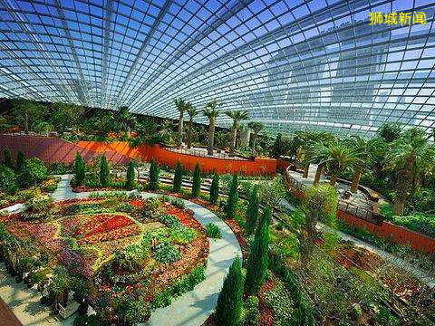 在新加坡待出“幽閉恐懼症”？這篇幹貨拯救你