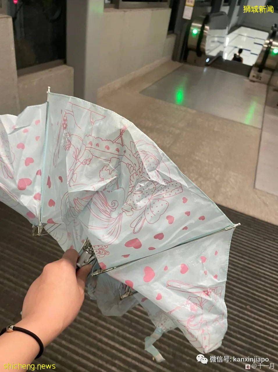 漏夜排队、搬小板凳、千人预约,为打科兴新加坡居民拼了