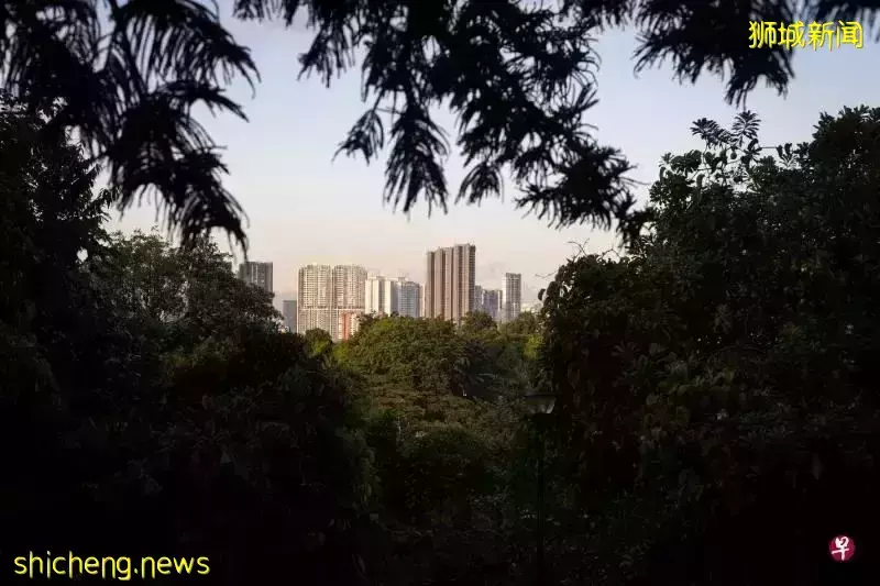 2030年,新加坡人人走路10分钟就能到公园?先去感受一下