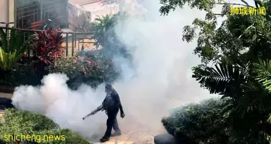 加护病房22天,花费12万新币....新加坡骨痛热症患者激增