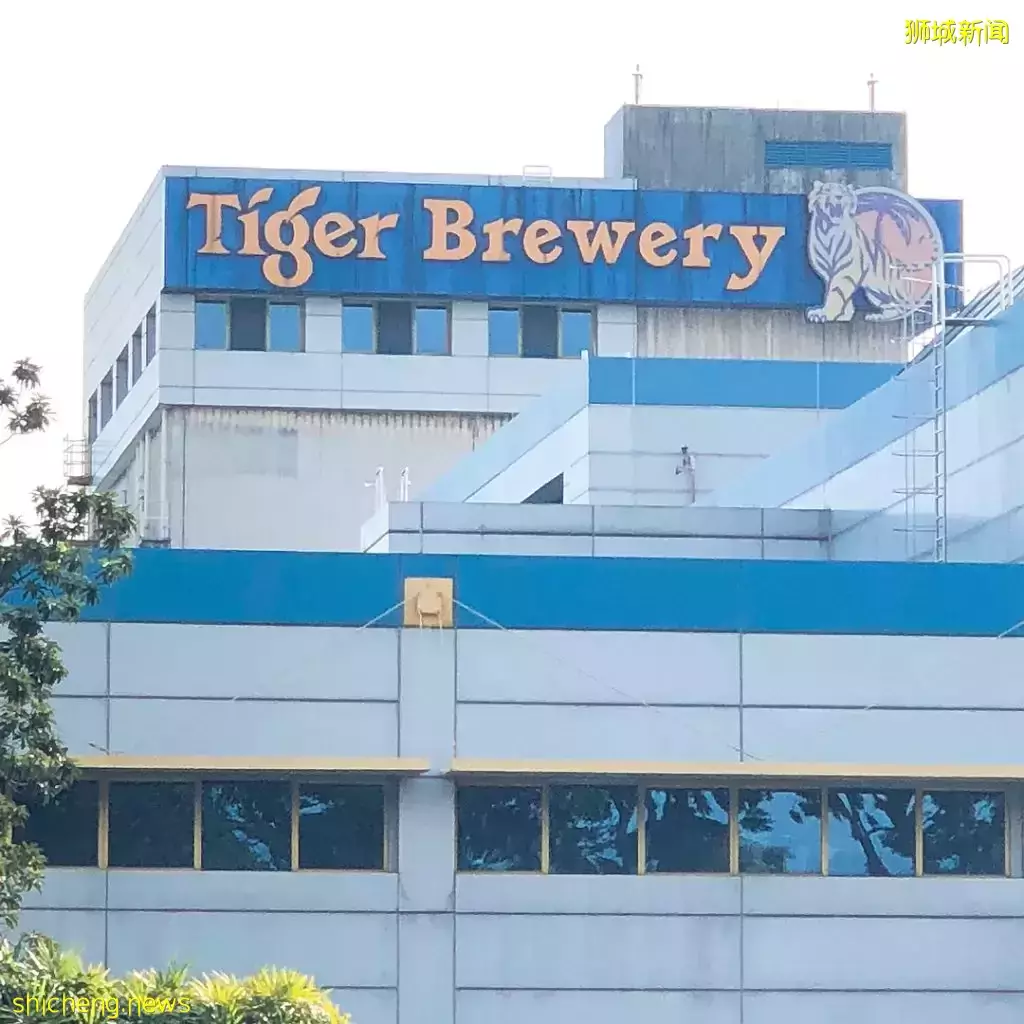 新加坡有个冷门景点,可尝当日最新鲜啤酒,临海眺望马来西亚