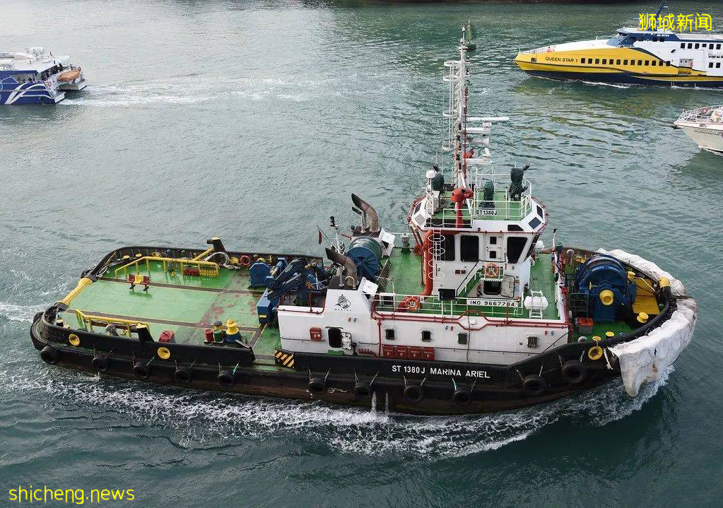 昨天晚上，新加坡衛生部更改社區病例數，減少3例！這是爲什麽