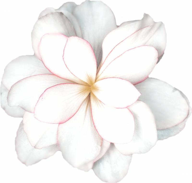 新加坡留学：说到留学怎么能少的了新加坡最受欢迎的这几门专业？想知道的进来继续看看