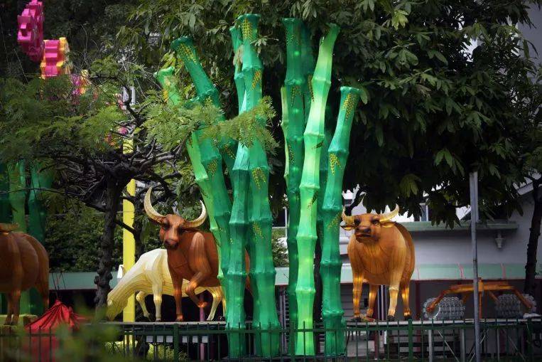 后天!牛车水88个金牛灯点亮迎春节,终于不丑了