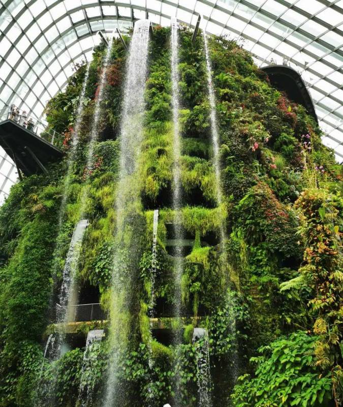 最後悔的一次旅遊經曆:新加坡