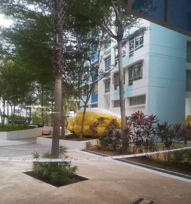 新加坡76岁阿伯涉案反锁屋内5小时与警方对峙,强行破门被逮捕