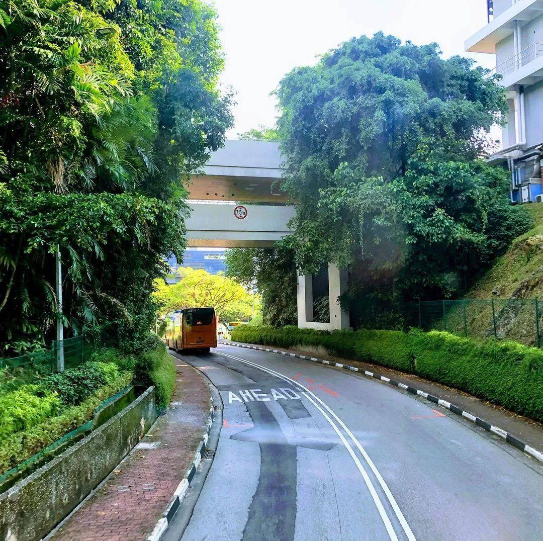 人間四月,來感受新加坡國立大學的春天