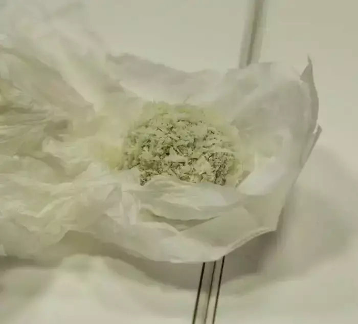 不一樣的視角,不一樣的風景:歐美人眼中的新加坡美食