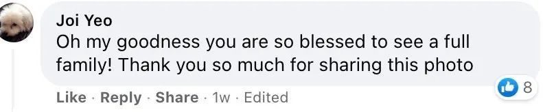 罕见!偶遇新加坡版的小鹿斑比,捡到睡着的猫头鹰