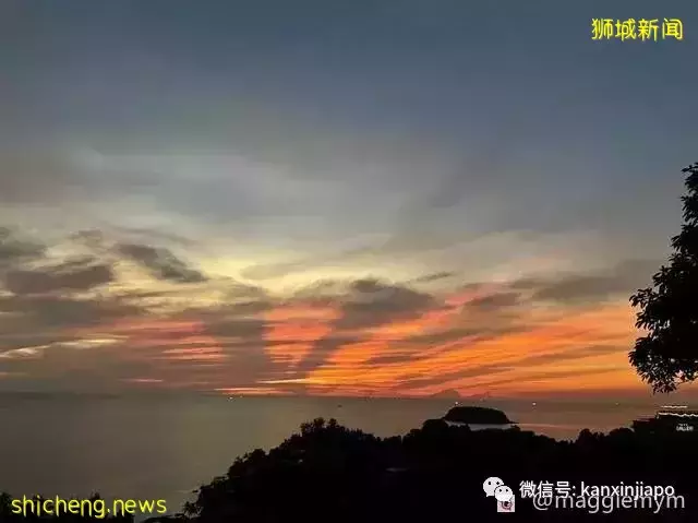 记录疫情下的首次跨国旅行,新加坡飞泰国全攻略