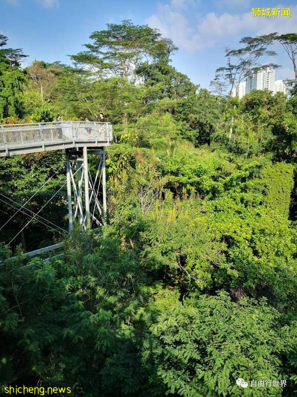 疫情過後,去新加坡不可錯過的16個體驗!