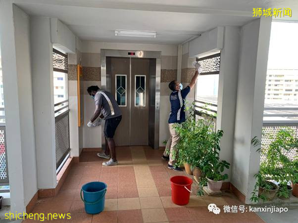 社區15! 新加坡兩座組屋無人確診,卻在汙水中發現病毒碎片