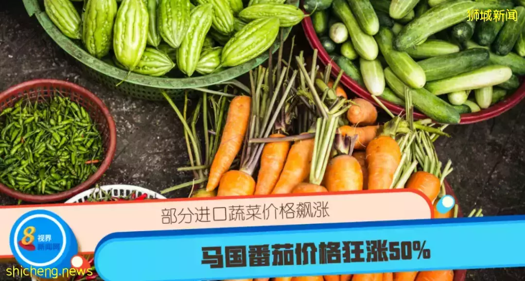 新加坡菜价飙涨30%!马来西亚多日爆发洪水,蔬菜海鲜运不过来