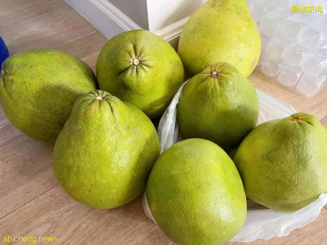 中國媽媽在普吉島陪讀，快樂教育、生活恣意，她爲什麽還要轉戰新加坡