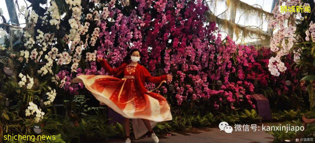 新加坡親子好去處！濱海灣～花穹～雲霧森林～空中步道半日遊