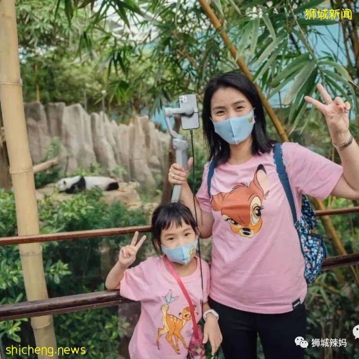 僅2天！新加坡動物園最牛的餵動物之旅，8折！還有幻光雨林和4大園5.5折起，搶啦