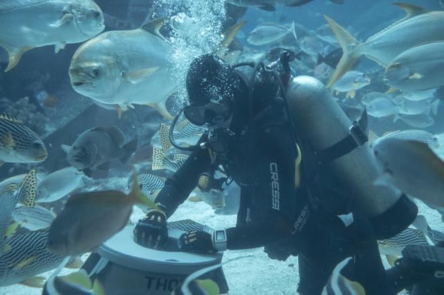 新加坡10天深度自由行，感受世界最嚴法律下的四大種族交融之地3