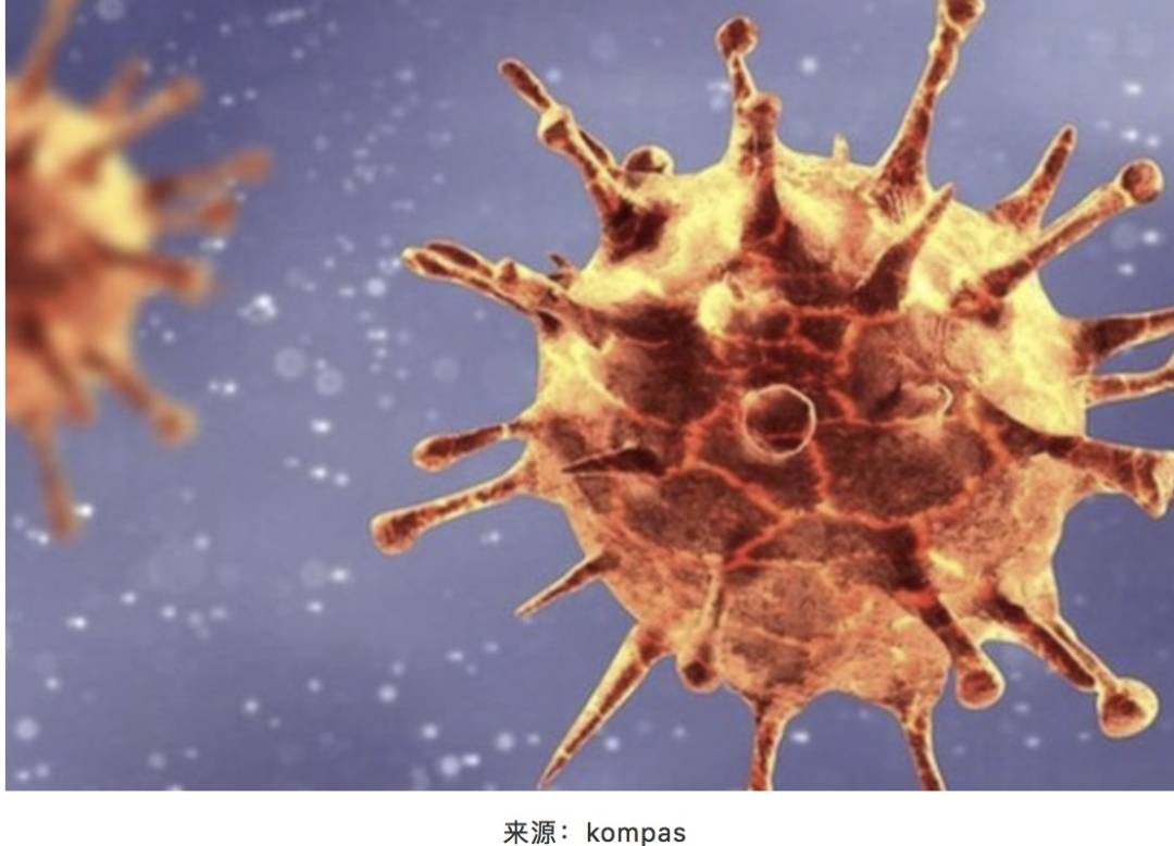 最新規定:這些人來新加坡需隔離14+7天!持准證入境新加坡全攻略