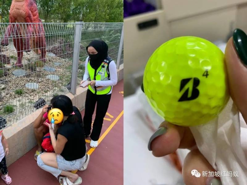 好危險! 走在樟宜機場步道,訪客遭高爾夫球擊中頭部,球自相鄰球場“從天而降”