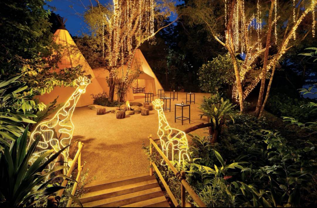 VIP尊享游览+晚宴！Night Safari为您打开别开生面的新年旅程（文末附优惠）