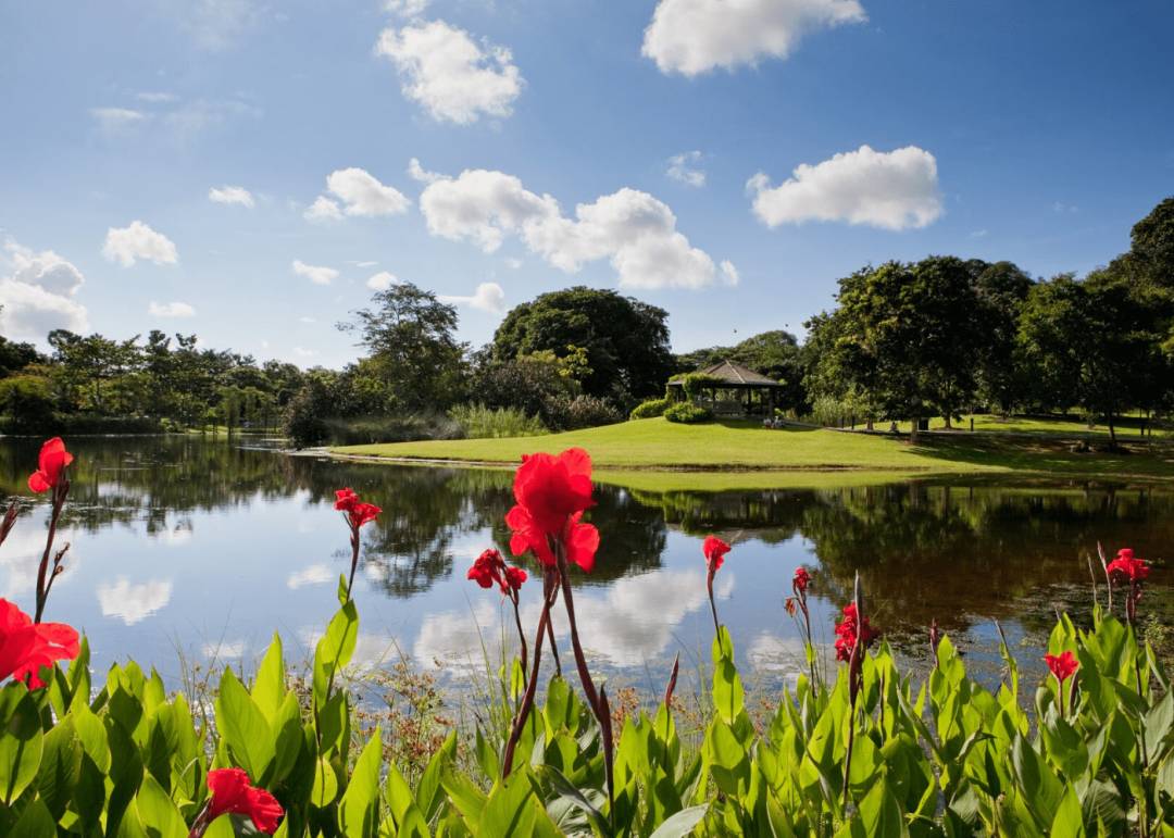 哈哈哈！在新加坡養娃到底有多輕松