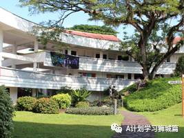 2020年新加坡各初級學院A水准會考成績彙總