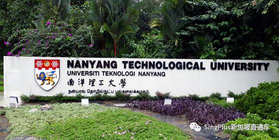 罪惡萌芽,新加坡的大學到底怎麽了