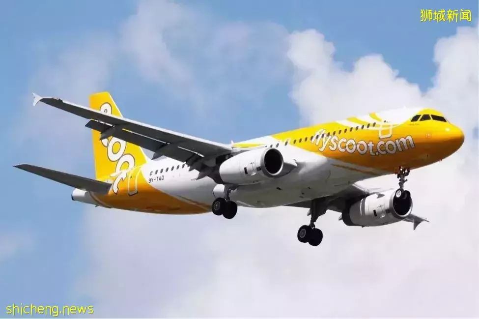 刚刚,官宣新加坡飞深圳复航!中新航班42天无熔断!网友亲测中国多省入境隔离7+7