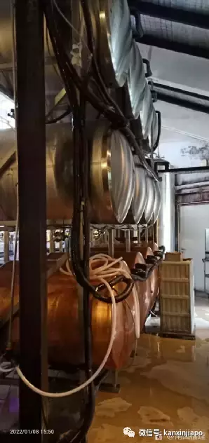 【下周活動】$7就能看電影，老曾記推出新款“包包”，網紅貨櫃