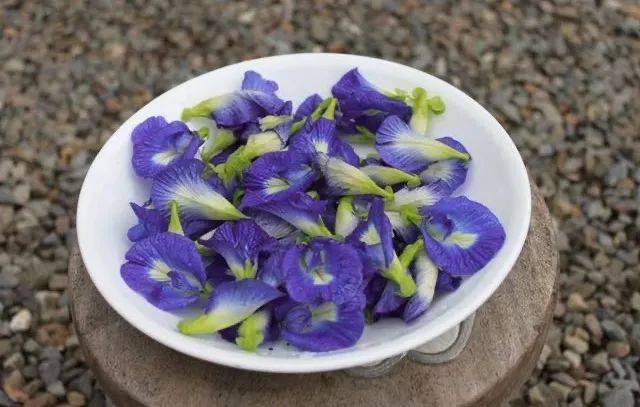 坡裏的綠色食品，你都吃過了嗎