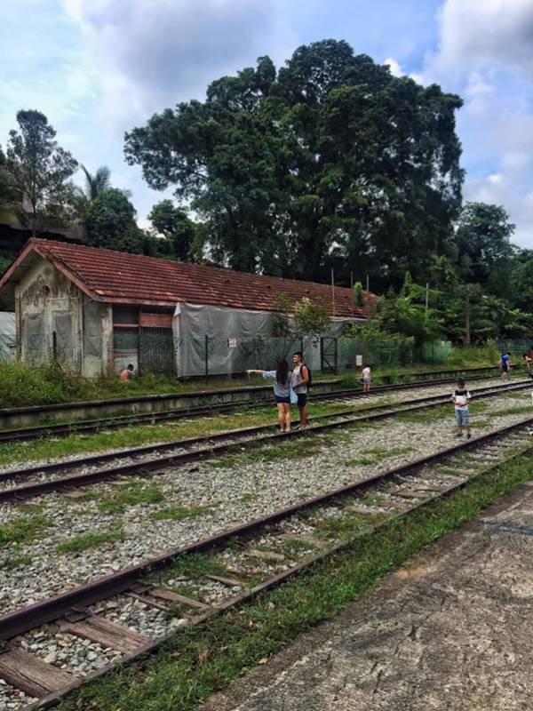 隐藏多年在金文泰的仙境,竟是新加坡面积第二大次森林