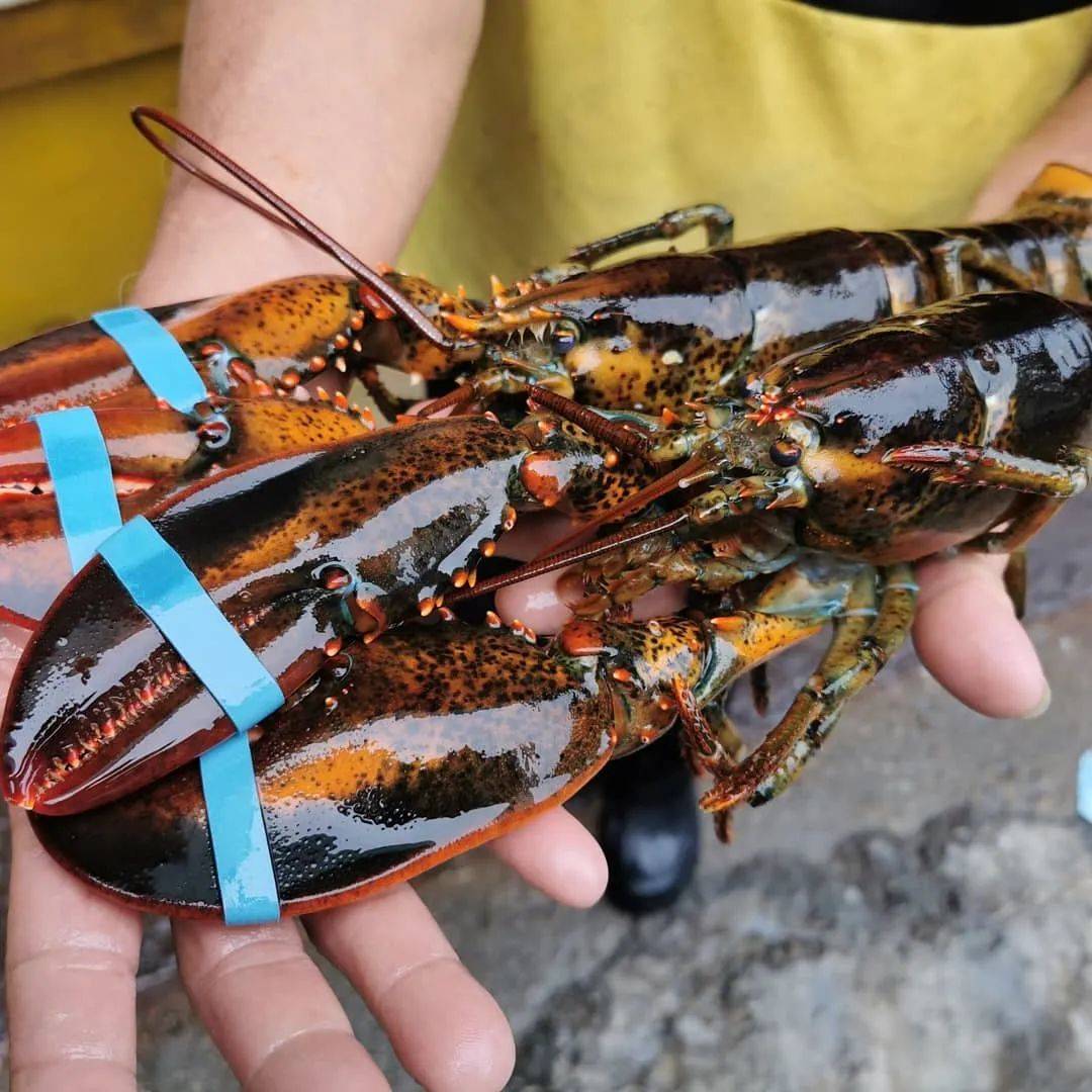 八鲜汇集,鲜闹新春 新加坡精选海鲜大优惠