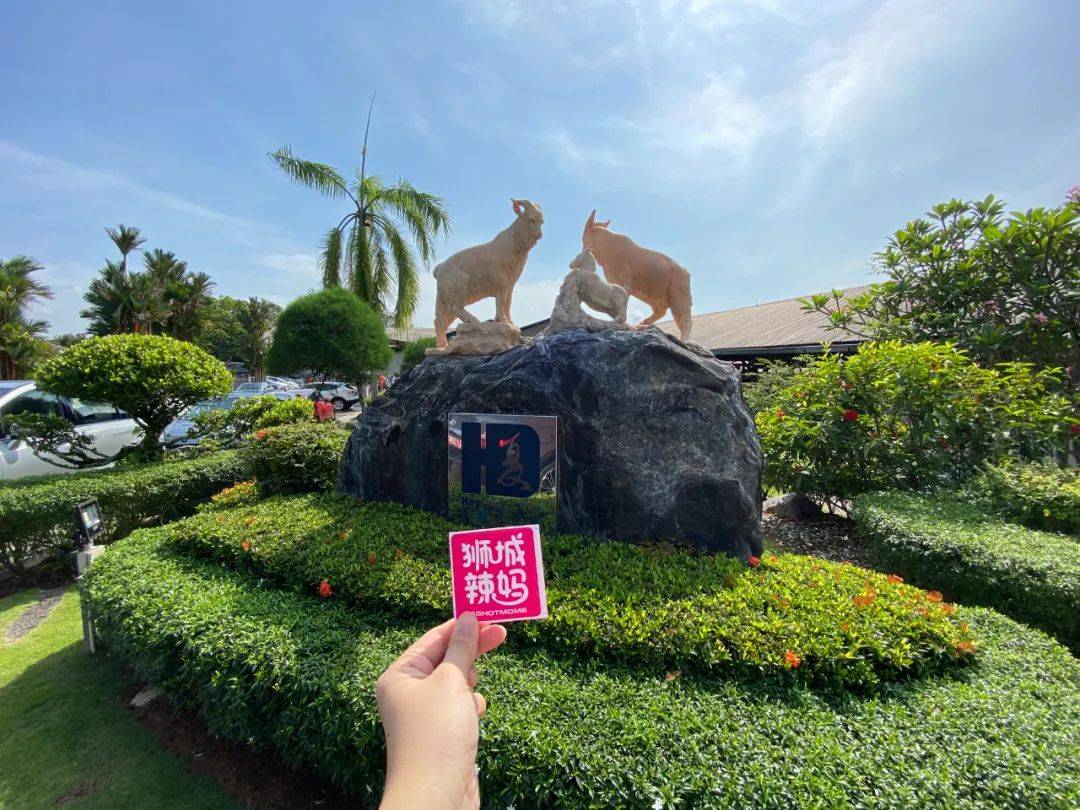 餵羊、擠奶、了解青蛙生長過程,新加坡的農場這麽牛