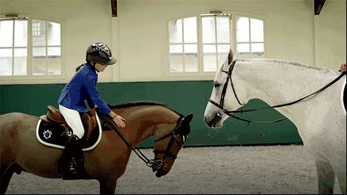 不容錯過的國際學校，新加坡德威國際學校