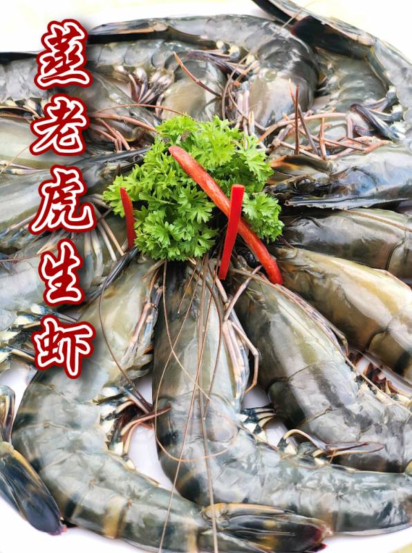 波士頓龍蝦免費吃!新加坡這家人均不過30的海鮮店又要逆天了